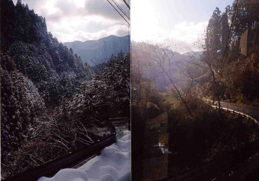 f:id:blepharisma:20120222092252j:image