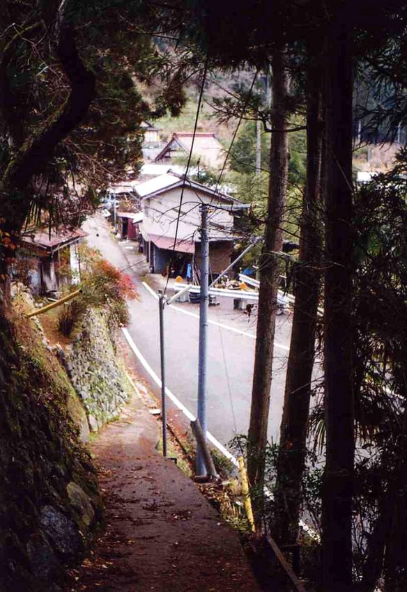 f:id:blepharisma:20120225064750j:image