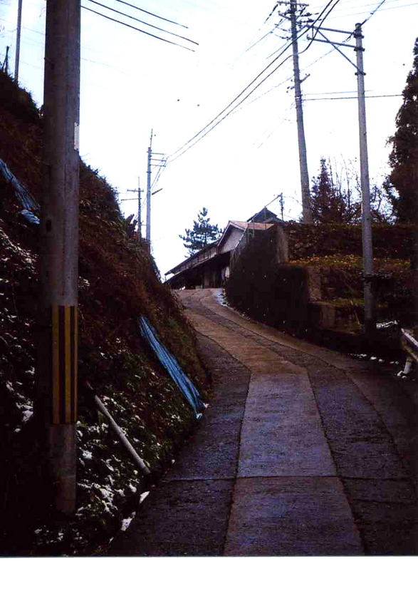 f:id:blepharisma:20120226081527j:image