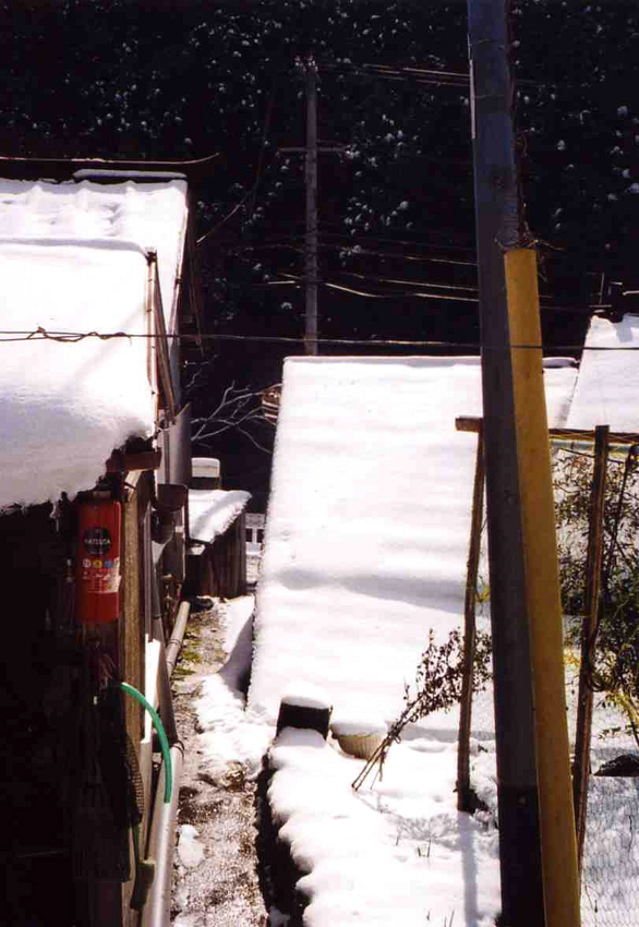 f:id:blepharisma:20120227092733j:image