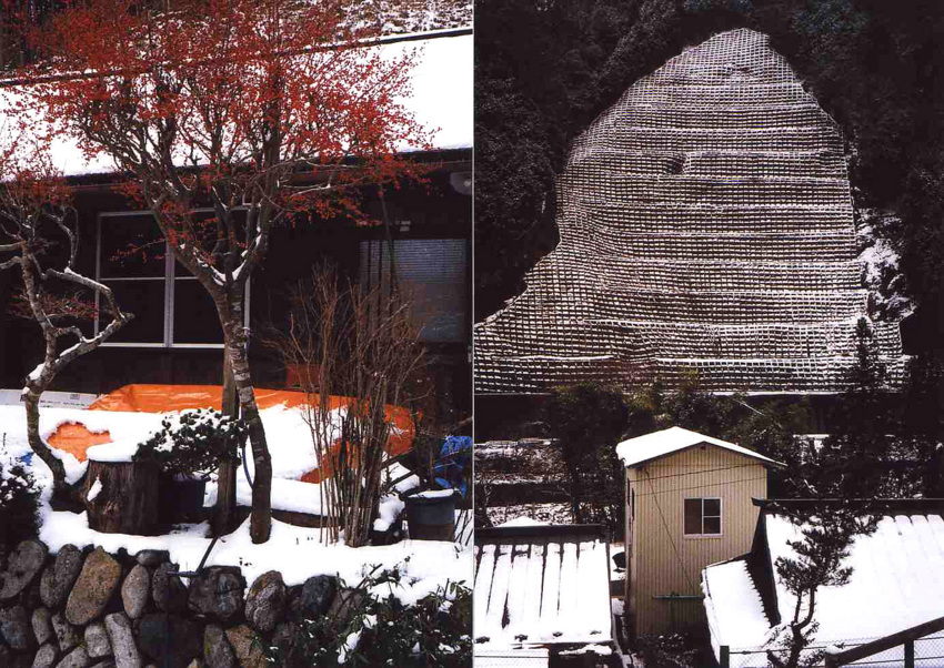 f:id:blepharisma:20120228094008j:image