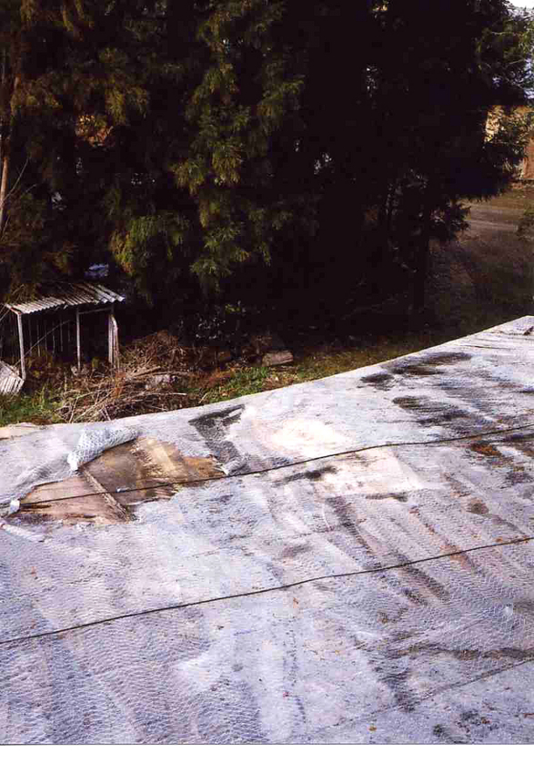 f:id:blepharisma:20120303085907j:image