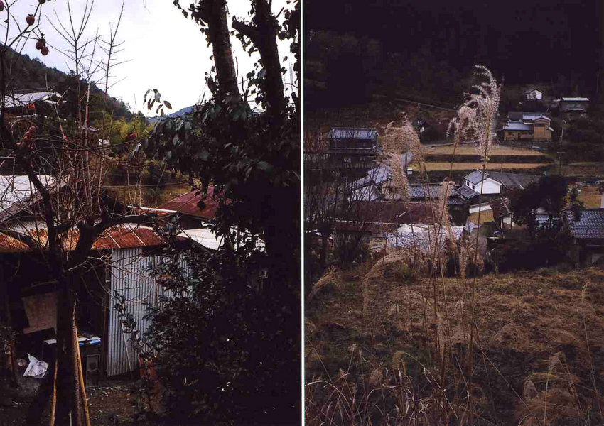 f:id:blepharisma:20120306000826j:image