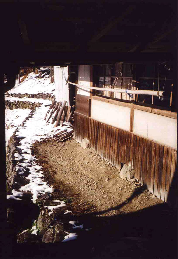 f:id:blepharisma:20120326111436j:image
