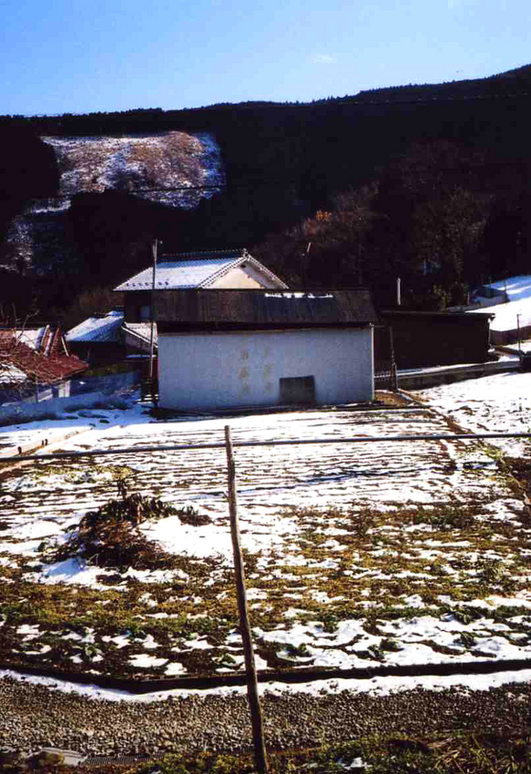 f:id:blepharisma:20120330100552j:image