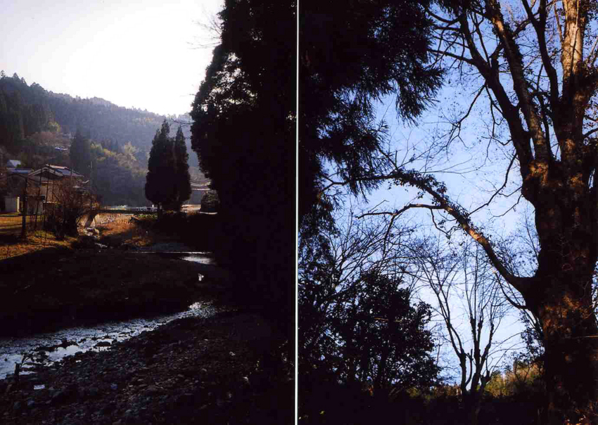 f:id:blepharisma:20120406164102j:image