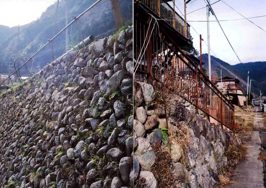f:id:blepharisma:20120420083223j:image
