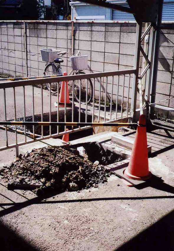 f:id:blepharisma:20120426113017j:image