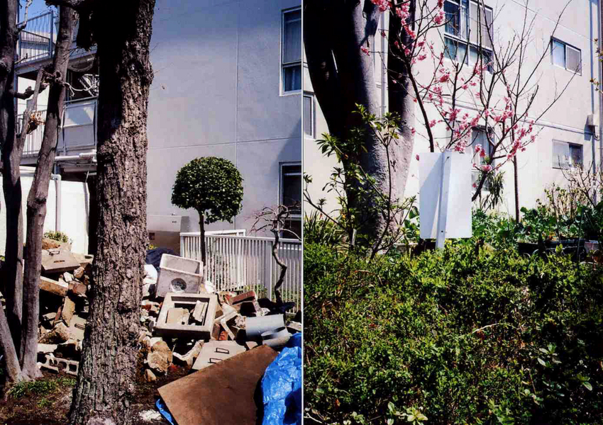 f:id:blepharisma:20120428055022j:image