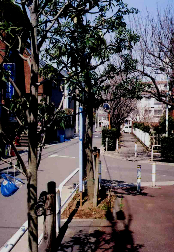 f:id:blepharisma:20120430104111j:image
