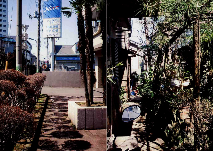 f:id:blepharisma:20120502001647j:image