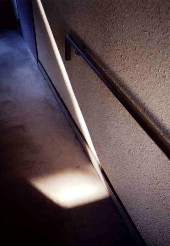f:id:blepharisma:20120504062947j:image