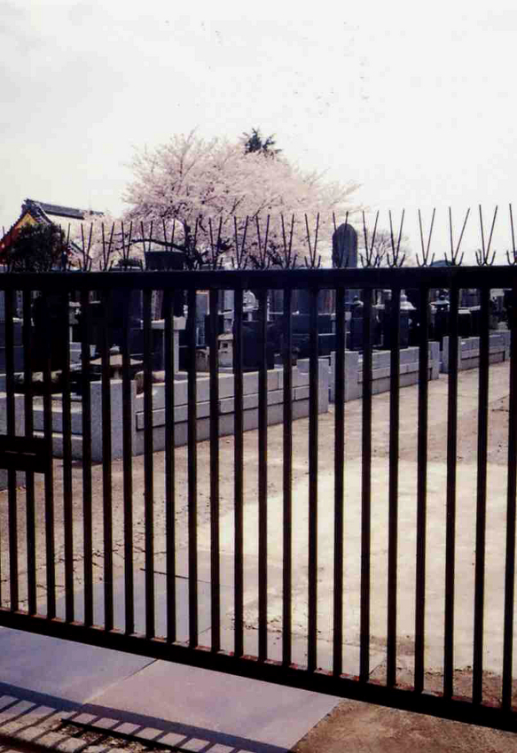 f:id:blepharisma:20120507042724j:image