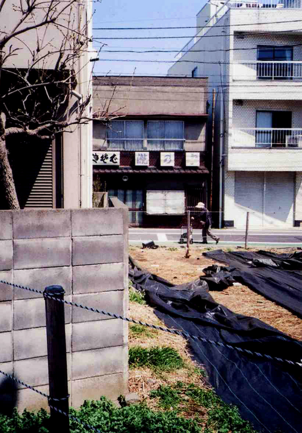 f:id:blepharisma:20120509095906j:image
