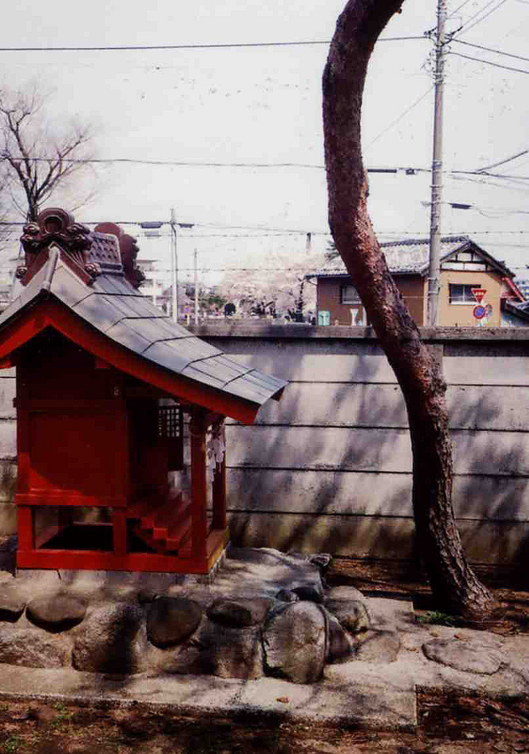f:id:blepharisma:20120510092428j:image