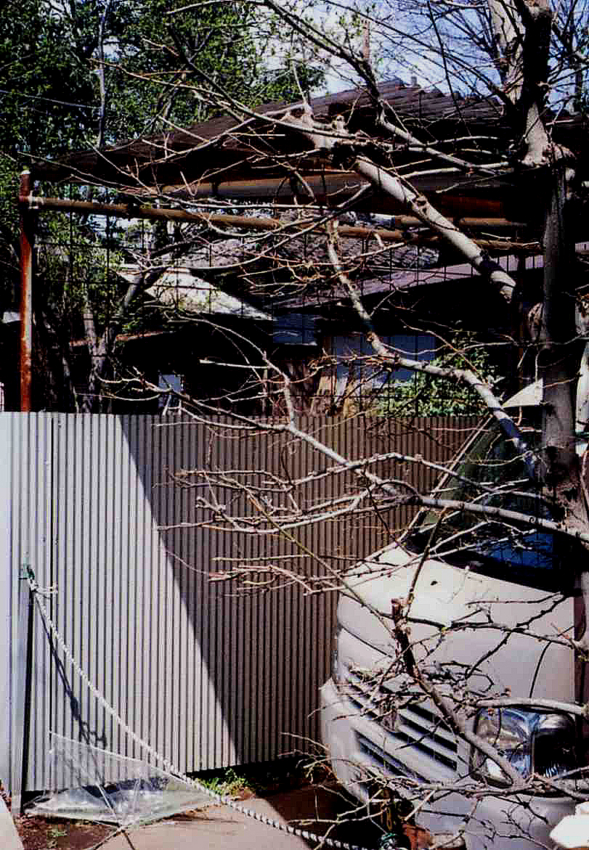 f:id:blepharisma:20120519095111j:image