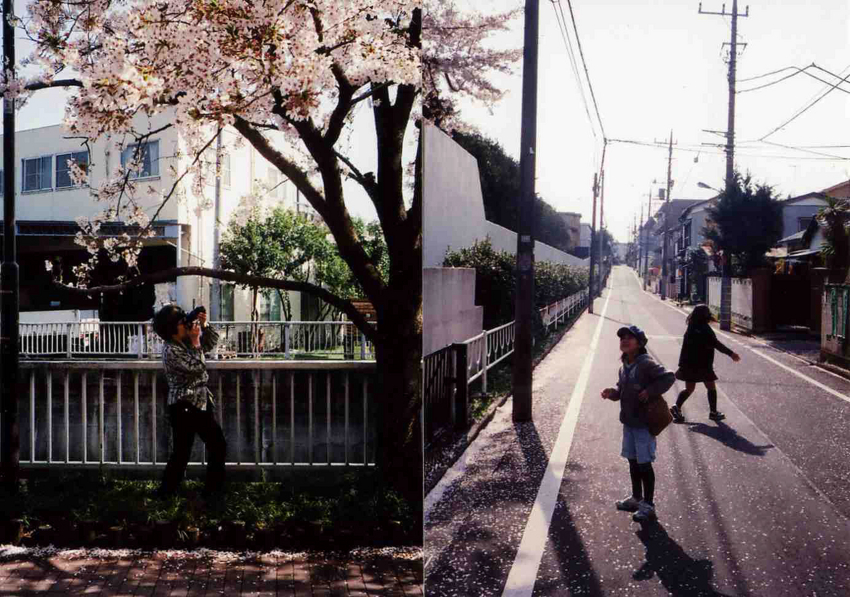 f:id:blepharisma:20120524091740j:image