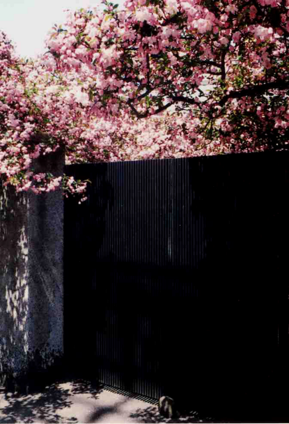 f:id:blepharisma:20120529081551j:image