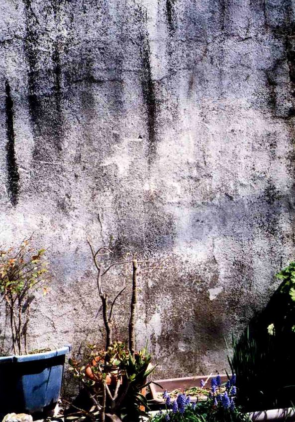 f:id:blepharisma:20120603050401j:image