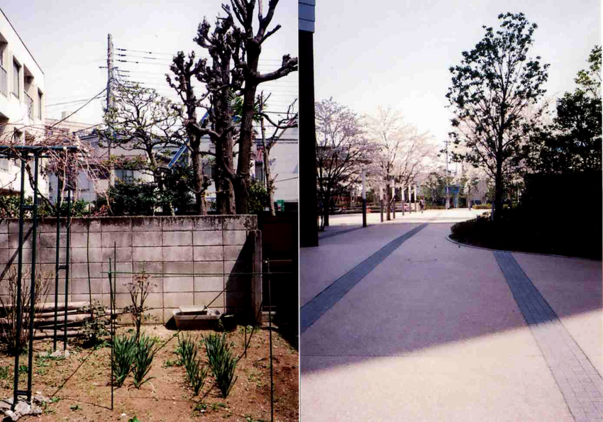 f:id:blepharisma:20120604105437j:image