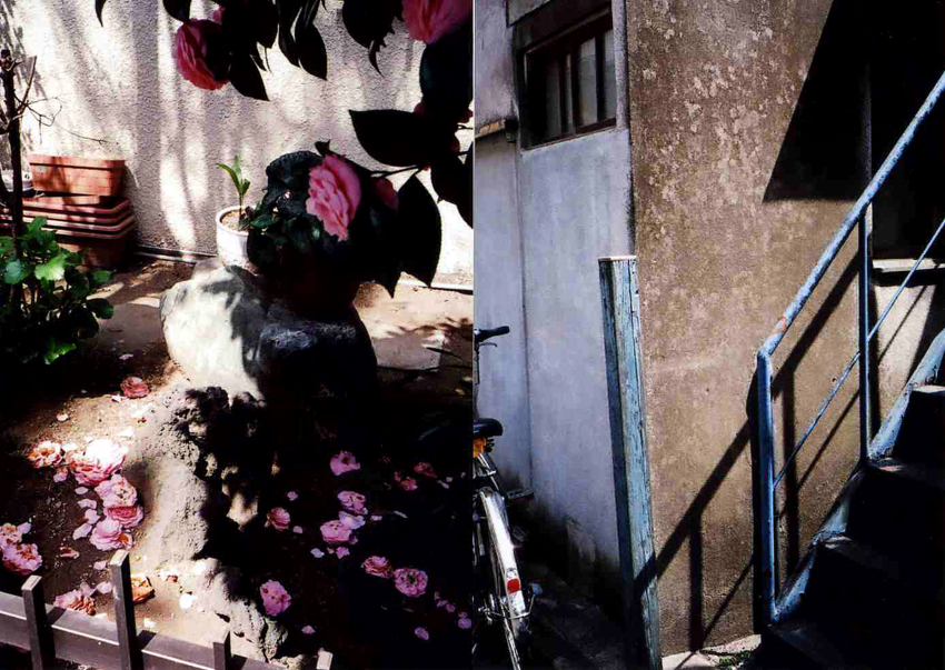 f:id:blepharisma:20120605081457j:image