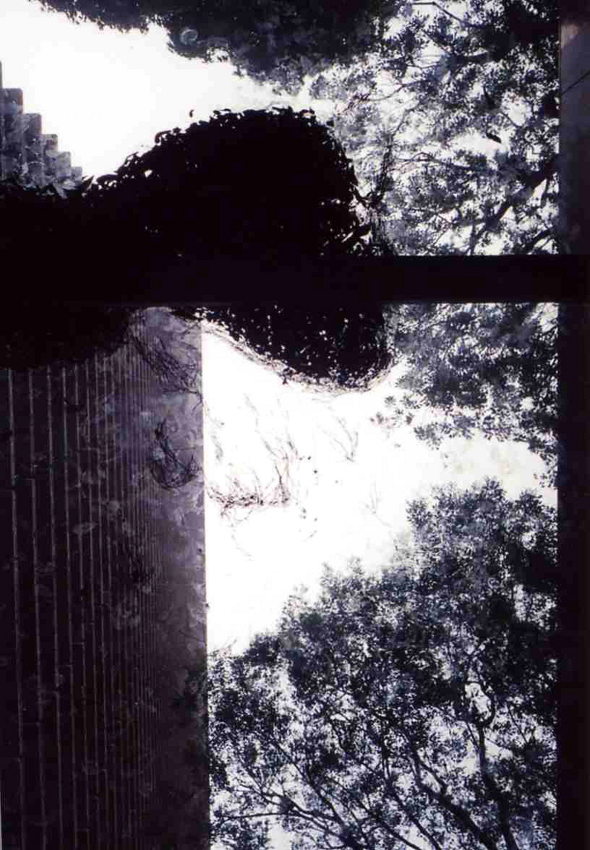 f:id:blepharisma:20120616051654j:image