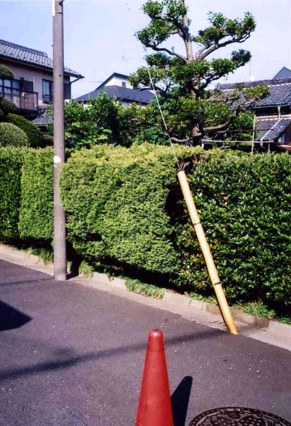 f:id:blepharisma:20120628102028j:image