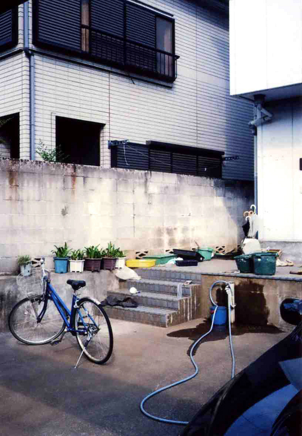 f:id:blepharisma:20120629094601j:image