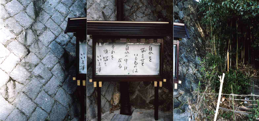 f:id:blepharisma:20120701000755j:image