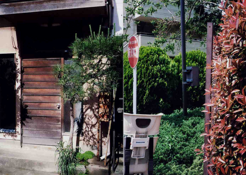 f:id:blepharisma:20120707074215j:image