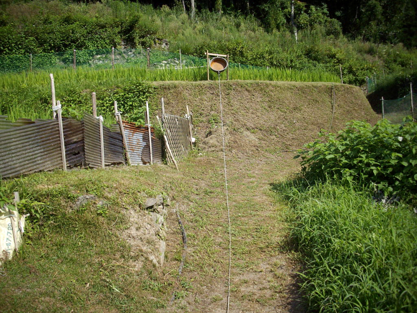 f:id:blepharisma:20120718092243j:image