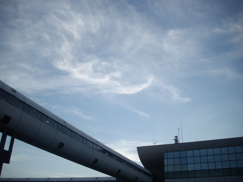 f:id:blepharisma:20120802073447j:image