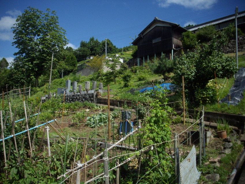 f:id:blepharisma:20120803070043j:image