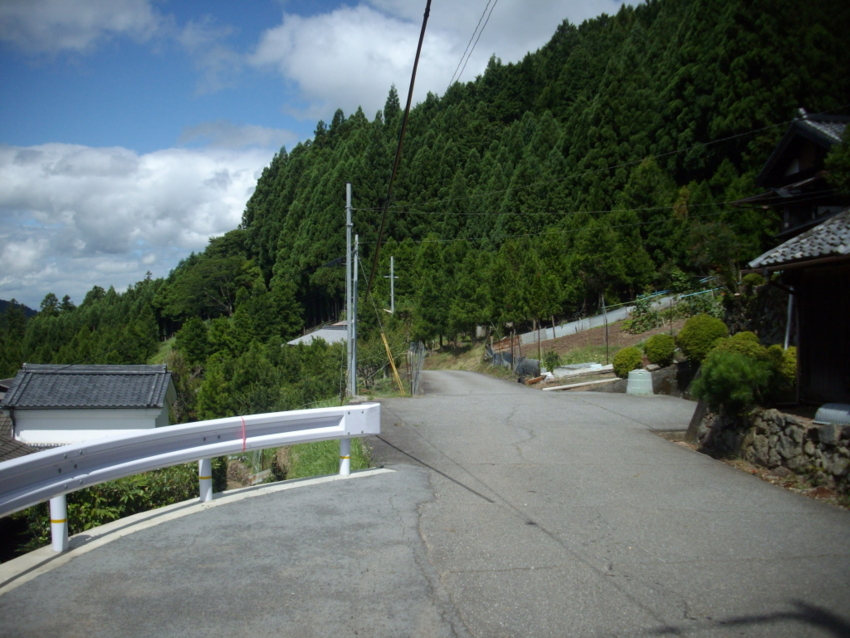 f:id:blepharisma:20120803070126j:image