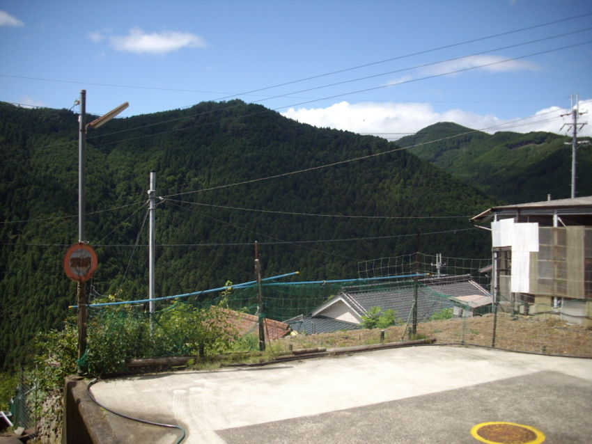 f:id:blepharisma:20120803070128j:image