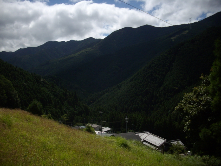 f:id:blepharisma:20120803070130j:image