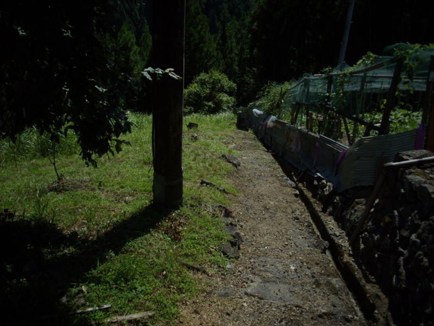 f:id:blepharisma:20120804072124j:image