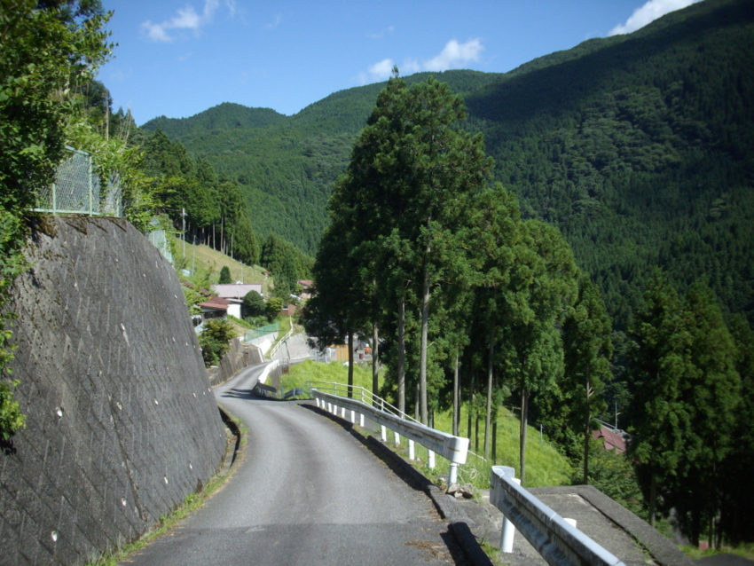 f:id:blepharisma:20120804072125j:image