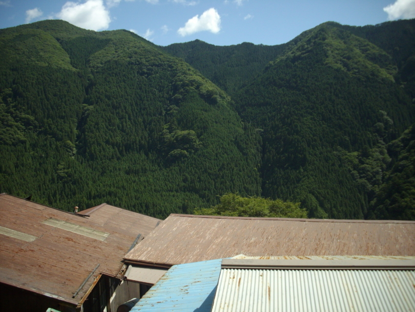 f:id:blepharisma:20120804072127j:image