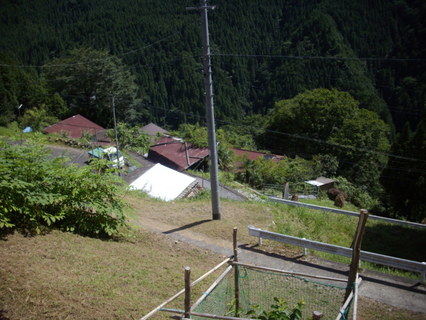f:id:blepharisma:20120804072128j:image
