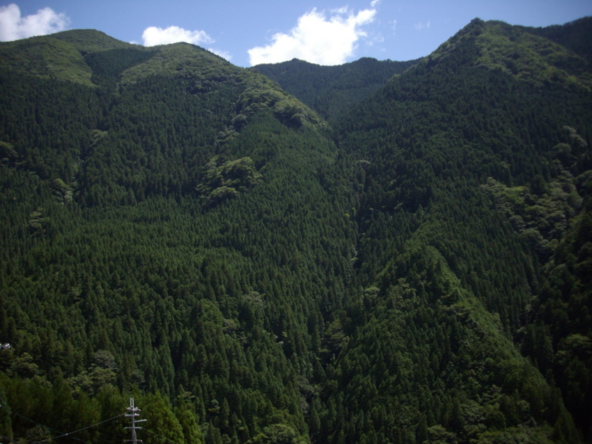 f:id:blepharisma:20120804072130j:image