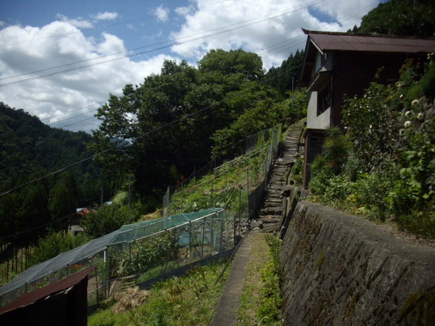 f:id:blepharisma:20120804072132j:image