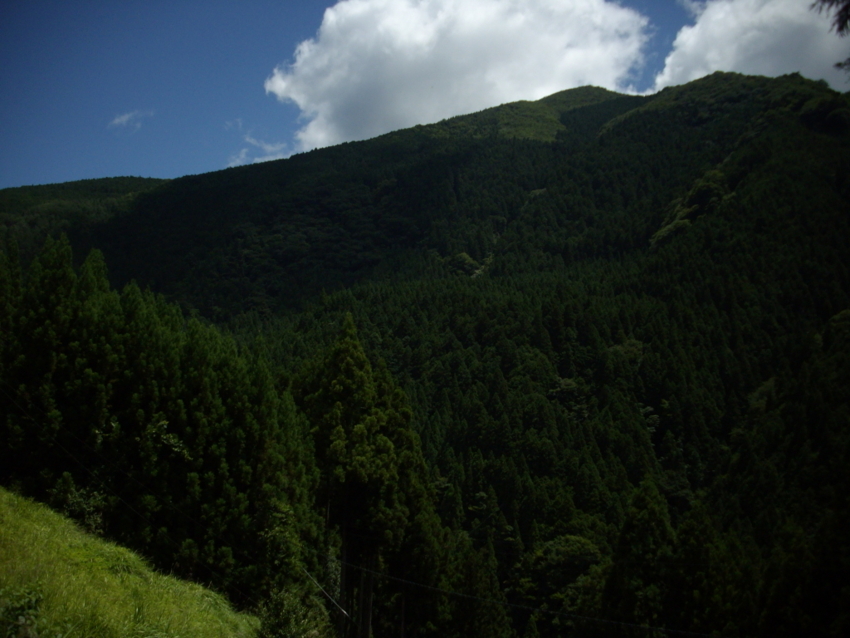 f:id:blepharisma:20120804072135j:image