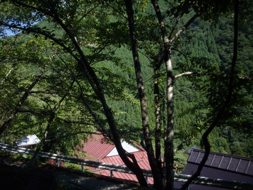f:id:blepharisma:20120805080652j:image