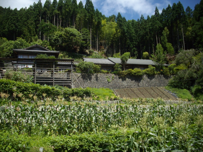 f:id:blepharisma:20120806065152j:image