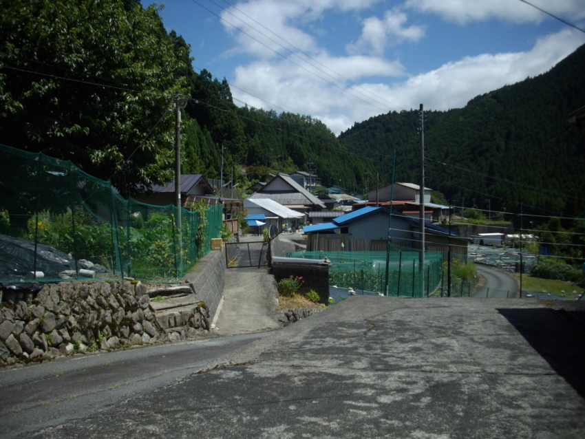 f:id:blepharisma:20120806065155j:image