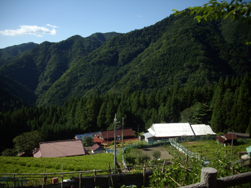 f:id:blepharisma:20120807071654j:image