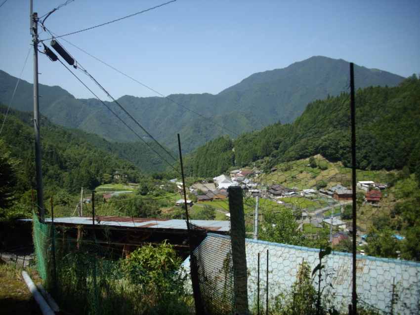 f:id:blepharisma:20120808220421j:image