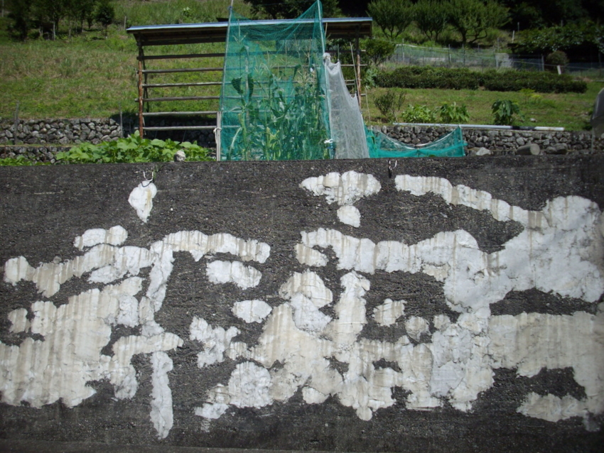 f:id:blepharisma:20120808220427j:image