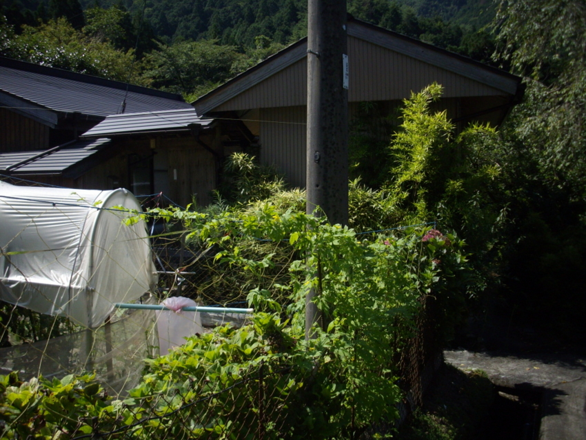 f:id:blepharisma:20120808220430j:image